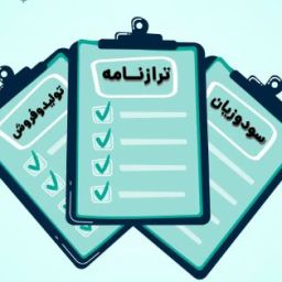 صورت های مالی چیست